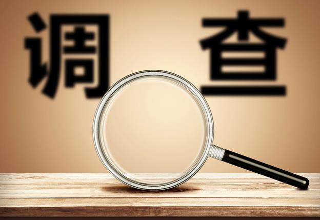2023年商務(wù)調(diào)查咨詢公司的工作總結(jié)